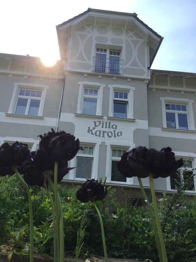 Dach-Maisonette "Villa Karola" An Der Therme Бад-Зульца Экстерьер фото